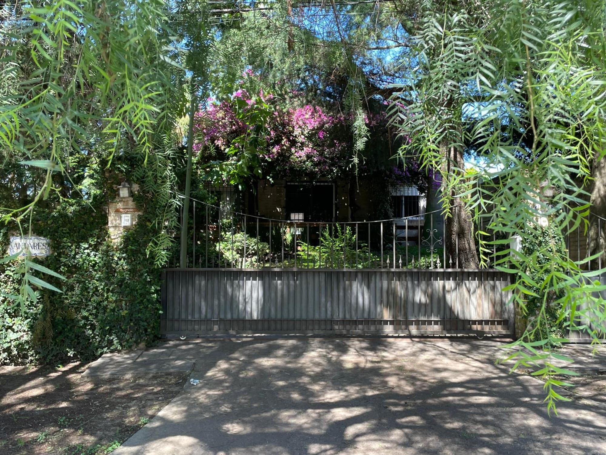 Magnolio Daire Colonia del Sacramento Dış mekan fotoğraf